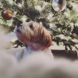 Meet your Posher, Kj